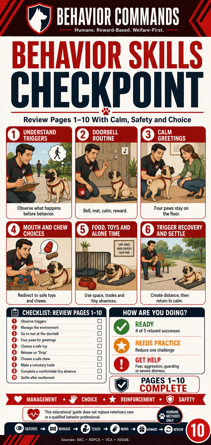 Dog Training Pack Preview 10