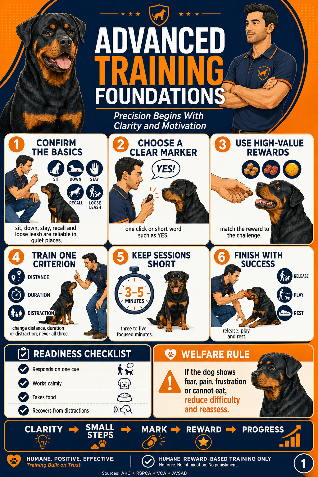 Dog Training Pack Preview 3