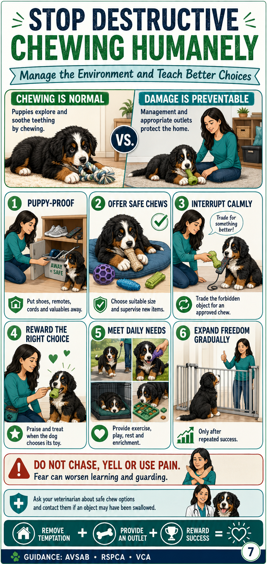 Dog Training Pack Preview 6
